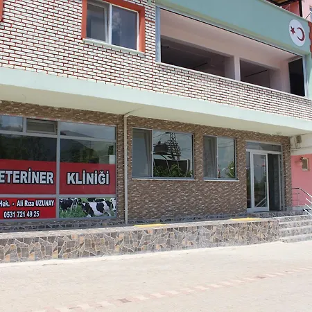 Grand Sonmez Apart Hotel apartamentowy